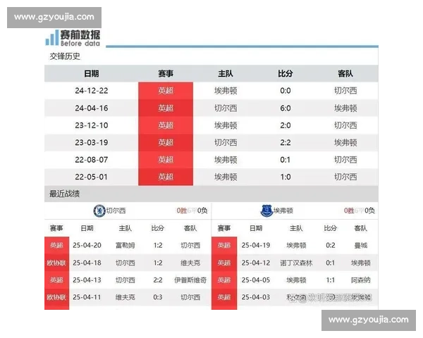 切尔西对阵埃弗顿比赛录像回顾蓝军攻防全景与关键瞬间解析